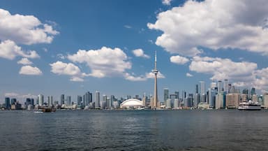 city